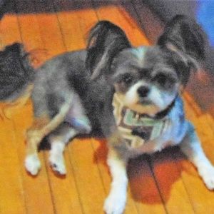 Meet your Posher, Paula